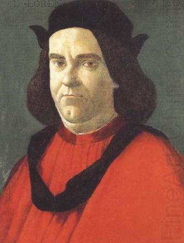 Portrait of Lorenzo de'Lorenzi, Sandro Botticelli